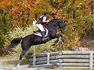  & Susanne Entraineur Tezanes
