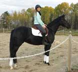 Sudha bought by Sarah Rahmer