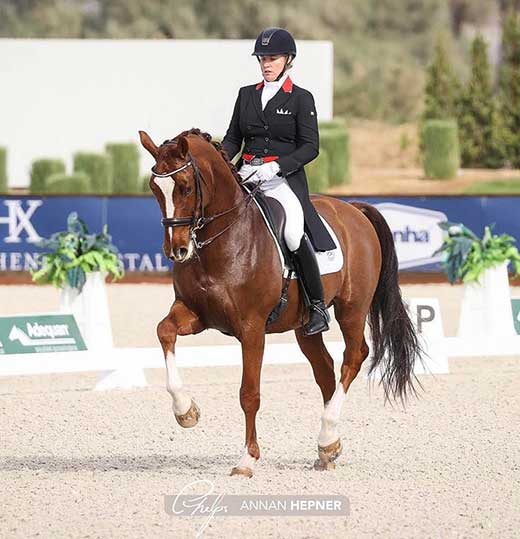 Winner CDI Grand Prix Nov 2021