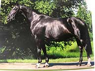 Welt Lena 16 yrs old